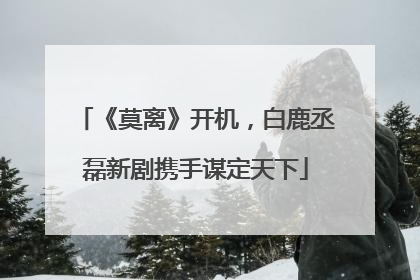 《莫离》开机，白鹿丞磊新剧携手谋定天下