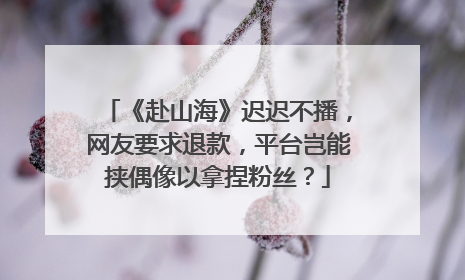 《赴山海》迟迟不播，网友要求退款，平台岂能挟偶像以拿捏粉丝？