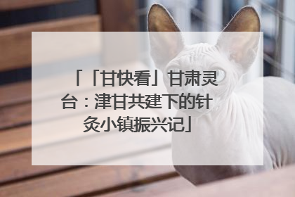 「甘快看」甘肃灵台：津甘共建下的针灸小镇振兴记