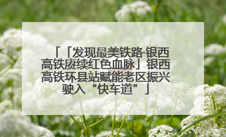 「发现最美铁路·银西高铁赓续红色血脉」银西高铁环县站赋能老区振兴驶入“快车道”