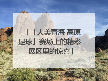 「大美青海 高原足球」赛场上的精彩 展区里的惊喜