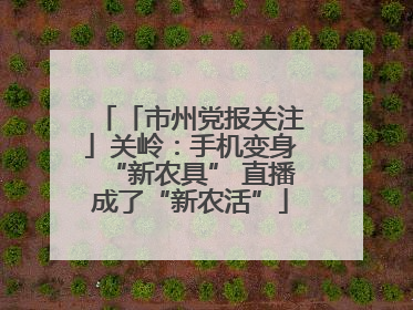 「市州党报关注」关岭：手机变身“新农具” 直播成了“新农活”