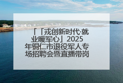 「戎创新时代·就业暖军心」2025年铜仁市退役军人专场招聘会暨直播带岗活动顺利举行