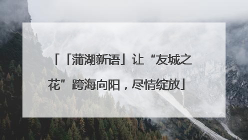 「蒲湖新语」让“友城之花”跨海向阳，尽情绽放