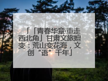 「青春华章·重走西北角」甘肃文旅嬗变：荒山变花海，文创“语”千年