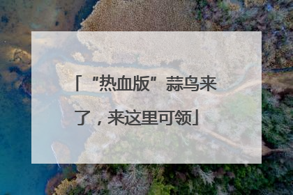 “热血版”蒜鸟来了，来这里可领