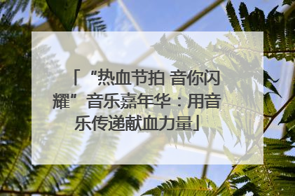 “热血节拍 音你闪耀”音乐嘉年华：用音乐传递献血力量