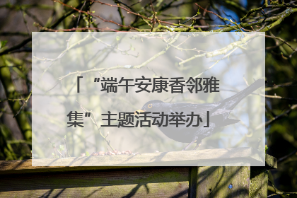 “端午安康香邻雅集”主题活动举办