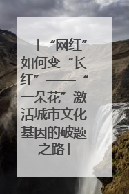 “网红”如何变“长红”——“一朵花”激活城市文化基因的破题之路