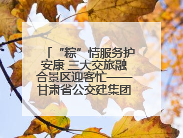 “粽”情服务护安康 三大交旅融合景区迎客忙——甘肃省公交建集团全力做好端午假期景区运营工作