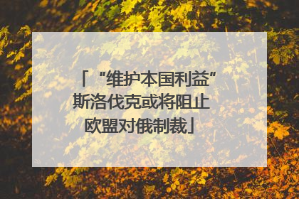“维护本国利益” 斯洛伐克或将阻止欧盟对俄制裁