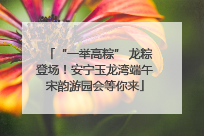 “一举高粽” 龙粽登场！安宁玉龙湾端午宋韵游园会等你来