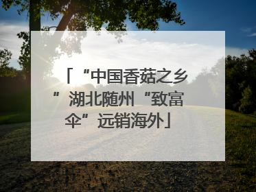 “中国香菇之乡”湖北随州“致富伞”远销海外