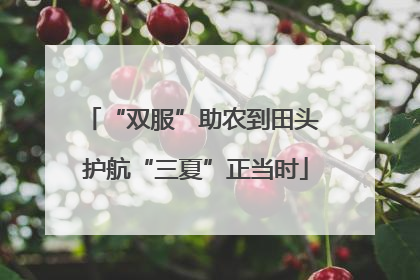 “双服”助农到田头 护航“三夏”正当时