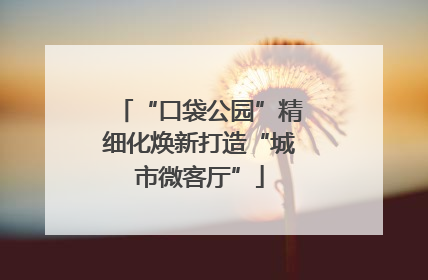 “口袋公园”精细化焕新打造“城市微客厅”