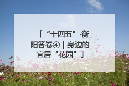“十四五”·衡阳答卷④｜身边的宜居“花园”