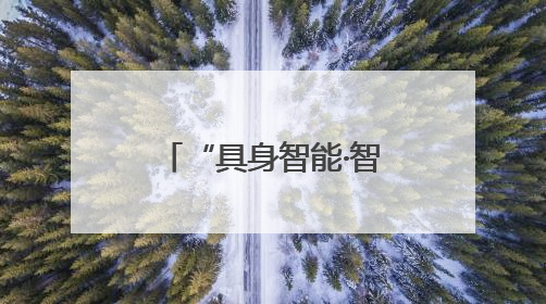 “具身智能·智启未来”会议成功举办 助力具身智能产业健康发展