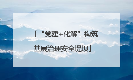 “党建+化解”构筑基层治理安全堤坝