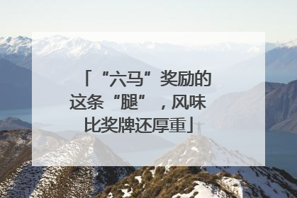 “六马”奖励的这条“腿”，风味比奖牌还厚重