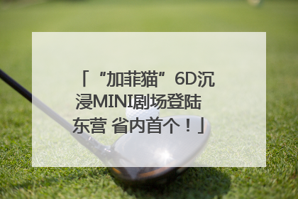 “加菲猫”6D沉浸MINI剧场登陆东营 省内首个！