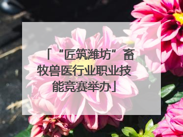 “匠筑潍坊”畜牧兽医行业职业技能竞赛举办