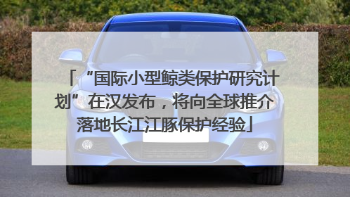 “国际小型鲸类保护研究计划”在汉发布，将向全球推介落地长江江豚保护经验