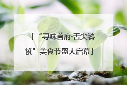 “寻味首府·舌尖饕餮”美食节盛大启幕