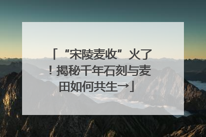 “宋陵麦收”火了！揭秘千年石刻与麦田如何共生→