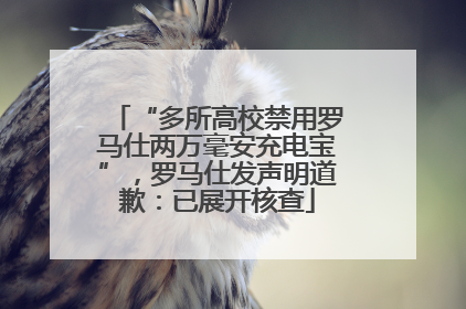 “多所高校禁用罗马仕两万毫安充电宝”，罗马仕发声明道歉：已展开核查