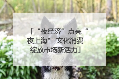 “夜经济”点亮“夜上海” 文化消费绽放市场新活力