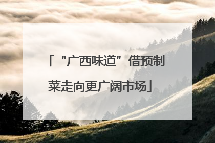 “广西味道”借预制菜走向更广阔市场