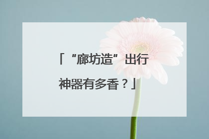 “廊坊造”出行神器有多香？