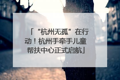 “杭州无孤”在行动！杭州手牵手儿童帮扶中心正式启航