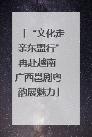 “文化走亲东盟行”再赴越南 广西邕剧粤韵展魅力