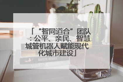 “智同道合”团队：公平、亲民、智慧城管机器人赋能现代化城市建设