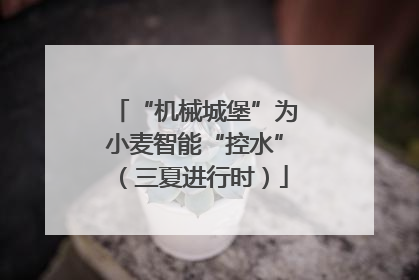 “机械城堡”为小麦智能“控水”（三夏进行时）