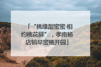 “桃缘甜蜜蜜·相约桃花驿”，孝南杨店镇早蜜桃开园