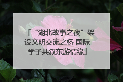 “湖北故事之夜”架设文明交流之桥 国际学子共叙东游情缘
