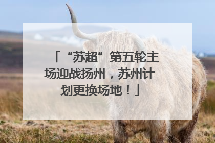 “苏超”第五轮主场迎战扬州，苏州计划更换场地！