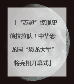 “苏超”惊现史前拉拉队！中华恐龙园“恐龙大军”将亮相开幕式