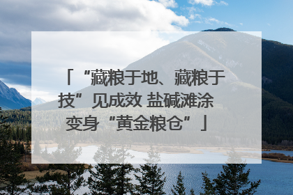 “藏粮于地、藏粮于技”见成效 盐碱滩涂变身“黄金粮仓”