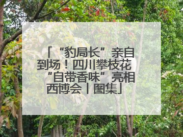 “豹局长”亲自到场！四川攀枝花“自带香味”亮相西博会丨图集