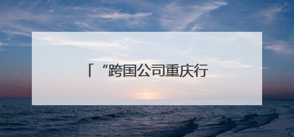“跨国公司重庆行”活动成功举办