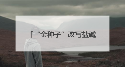 “金种子”改写盐碱地产粮史——“齐民27号”创黄河三角洲亩产1200斤奇迹
