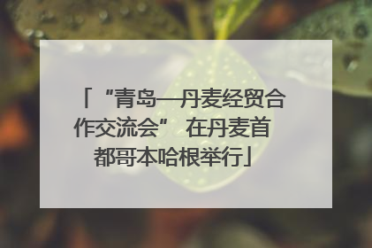 “青岛—丹麦经贸合作交流会” 在丹麦首都哥本哈根举行