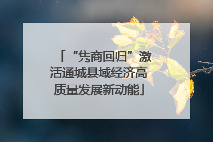 “隽商回归”激活通城县域经济高质量发展新动能