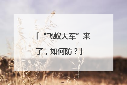 “飞蚁大军”来了，如何防？