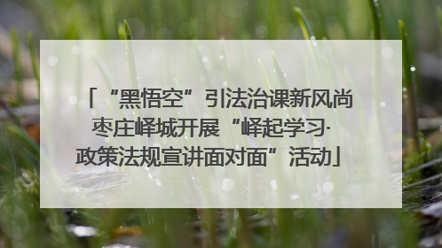 “黑悟空”引法治课新风尚 枣庄峄城开展“峄起学习·政策法规宣讲面对面”活动