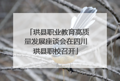 珙县职业教育高质量发展座谈会在四川珙县职校召开