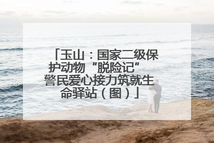 玉山：国家二级保护动物“脱险记” 警民爱心接力筑就生命驿站（图）